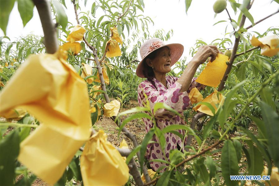 #CHINA-LESSER HEAT-FARMING (CN)