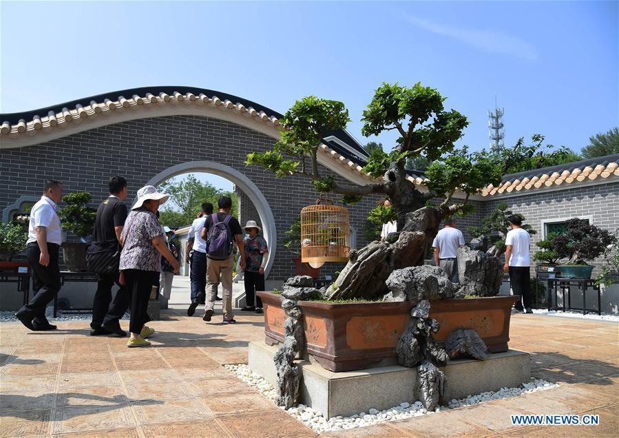 CHINA-BEIJING-HORTICULTURAL EXPO-GUANGDONG DAY (CN)