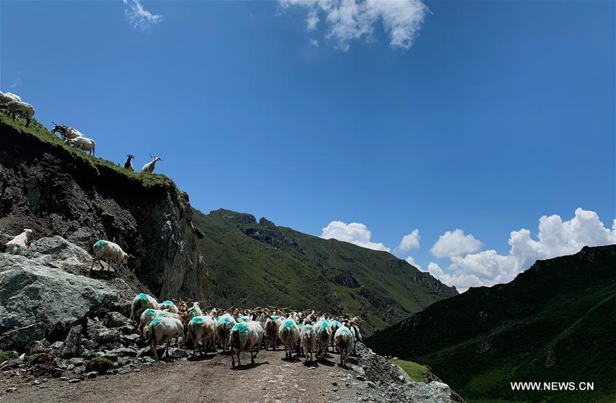 CHINA-QINGHAI-QILIAN-SCENERY (CN)