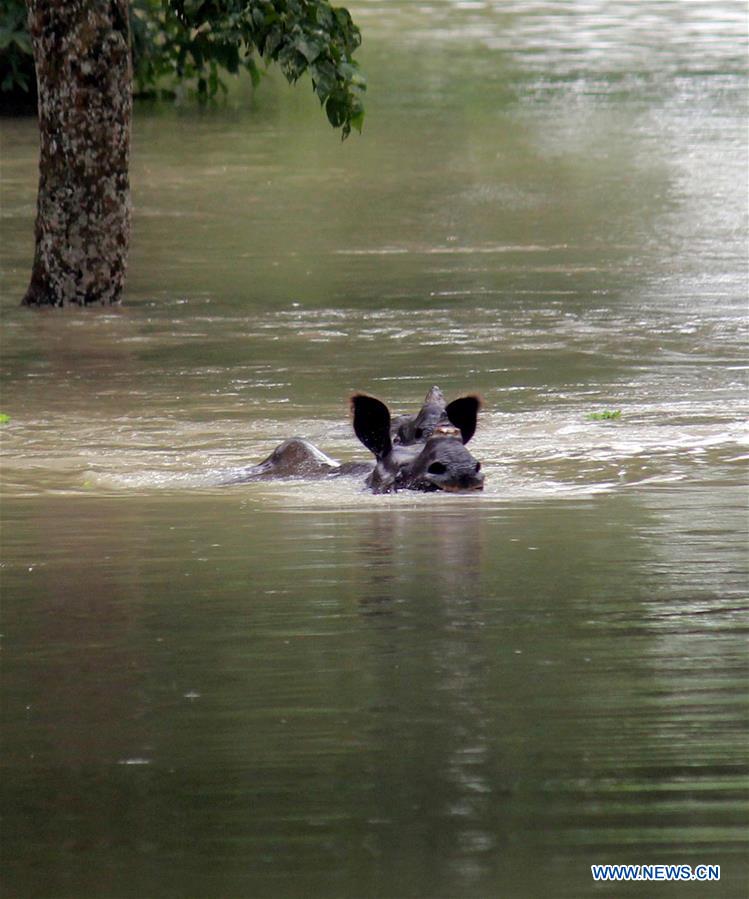 INDIA-ASSAM-FLOOD