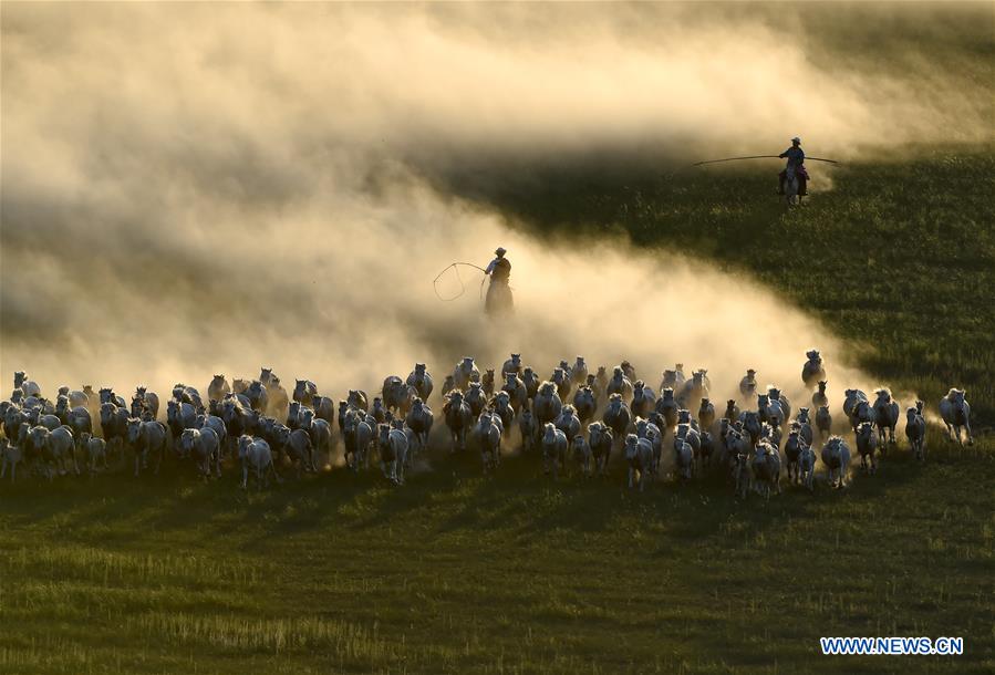 CHINA-INNER MONGOLIA-HORSE LASSOING (CN)