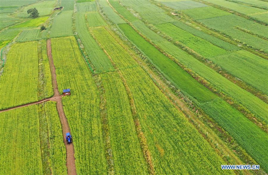 CHINA-HEBEI-ZHANGBEI-RURAL COMPLEX (CN)