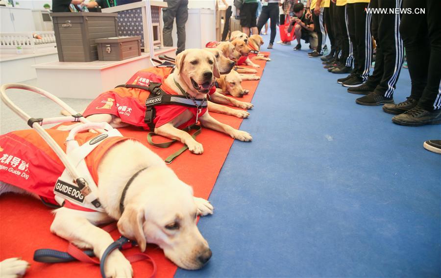 CHINA-SHANGHAI-PET FAIR (CN)