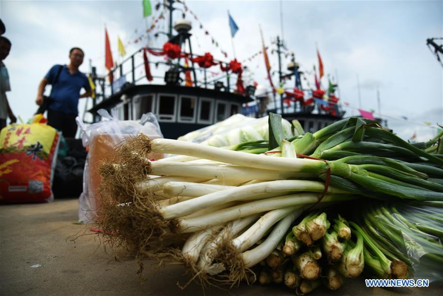 CHINA-SHANDONG-RIZHAO-FISHING SEASON (CN)