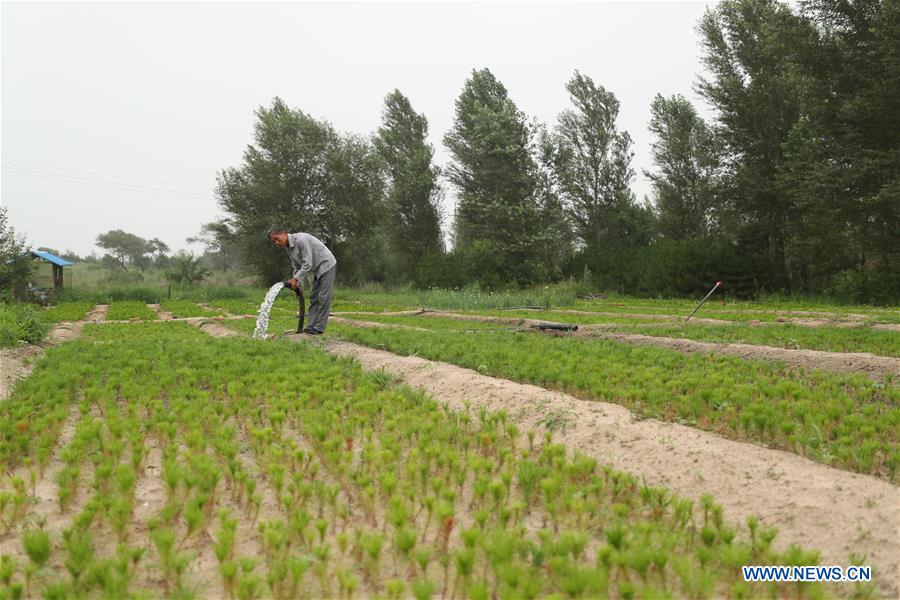 CHINA-LIAONING-FUXIN-FOREST PROTECTION (CN)