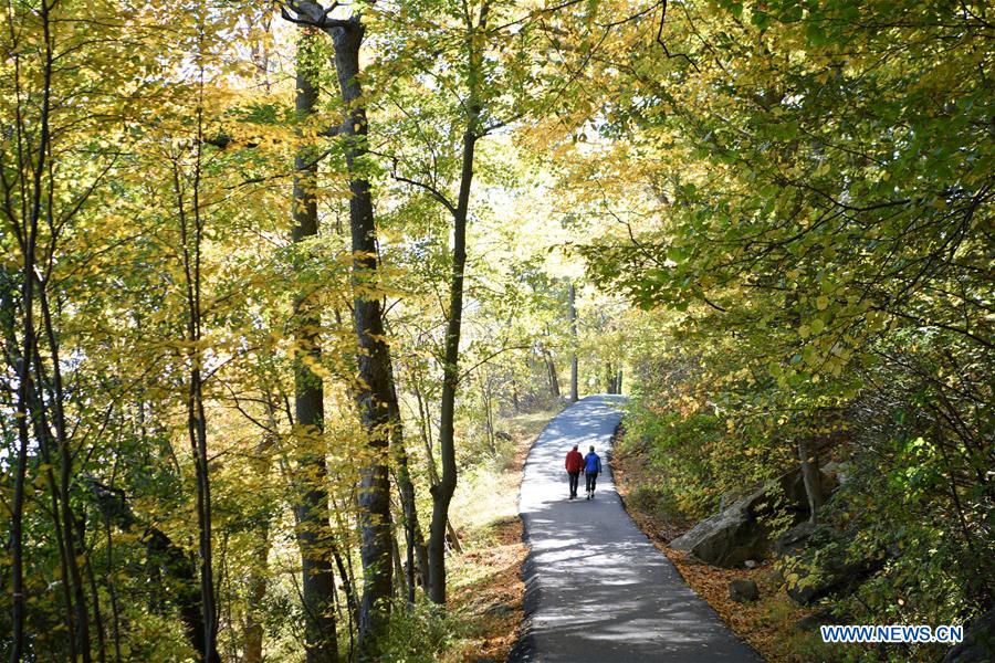 U.S.-NEW YORK-AUTUMN SCENERY