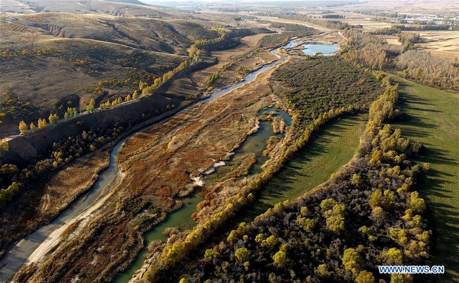 CHINA-INNER MONGOLIA-HORINGER-AUTUMN SCENERY (CN)