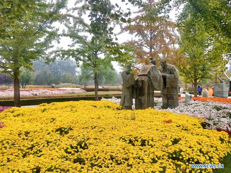 (BeijingCandid)CHINA-BEIJING-CHRYSANTHEMUM (CN)