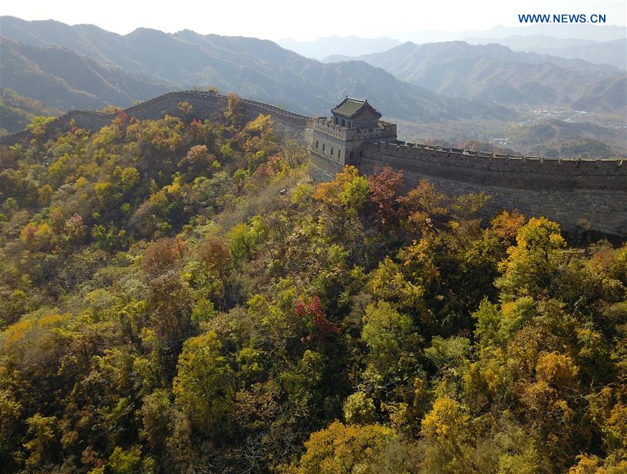 CHINA-BEIJING-GREAT WALL-AUTUMN SCENERY (CN)