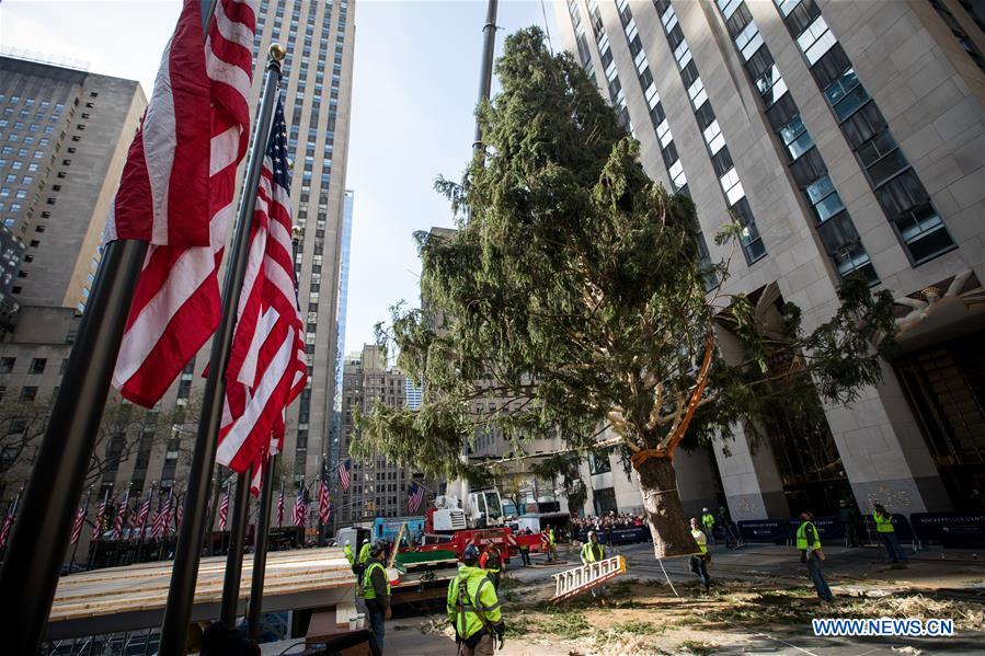 U.S.-NEW YORK-ROCKEFELLER CENTER-CHRISTMAS TREE-ARRIVAL