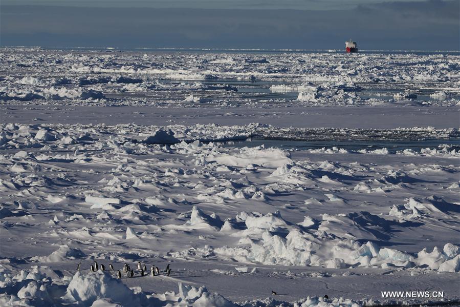 (EyesonSci) CHINA-ANTARCTICA-EXPEDITION(CN)