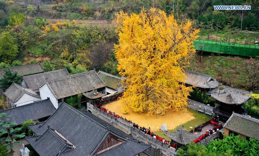 CHINA-SHAANXI-QINLING MOUNTAINS-SCENERY (CN)