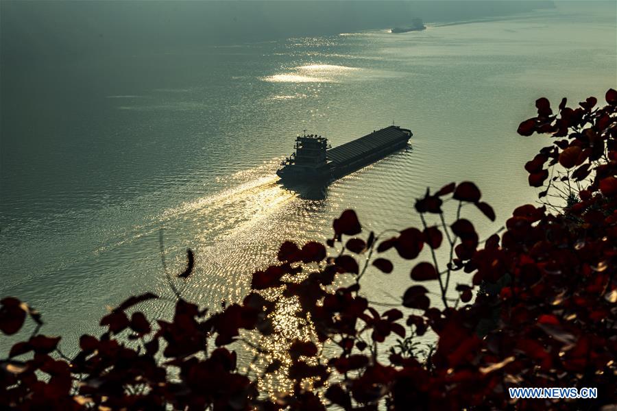 #CHINA-HUBEI-ZIGUI-THREE GORGES-SCENERY (CN)