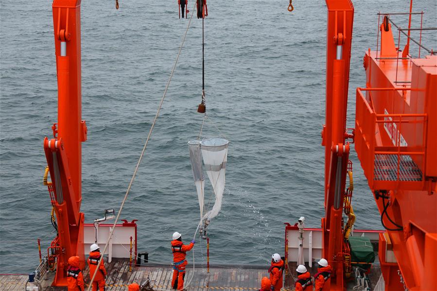 (EyesonSci)CHINA-XUELONG 2-ANTARCTIC EXPEDITION-COSMONAUTS SEA-ANIMALS