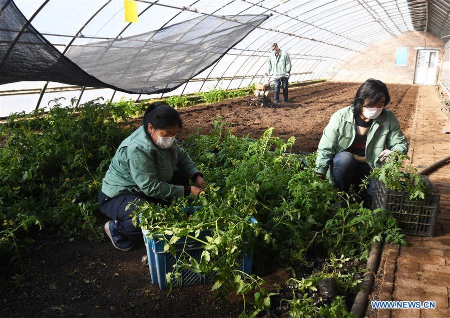 CHINA-BEIJING-NCP-AGRICULTURE(CN)