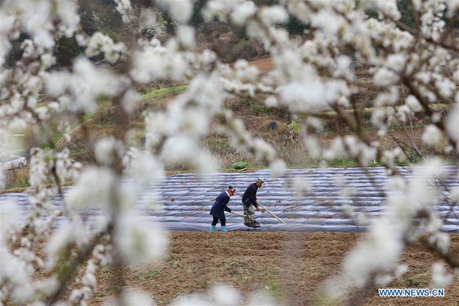 #CHINA-SPRING-FARMING (CN)