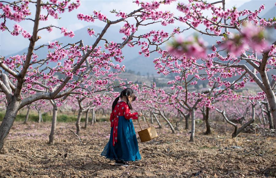 XINHUA PHOTOS OF THE DAY