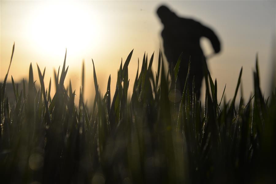 #CHINA-SPRING-FARMING (CN)