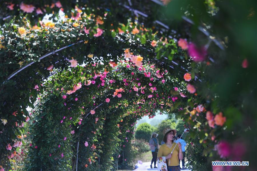 CHINA-ZHEJIANG-HANGZHOU-ROSE GARDEN (CN)