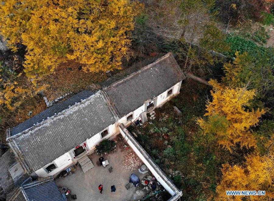 CHINA-HENAN-VILLAGE-AUTUMN SCENERY (CN)