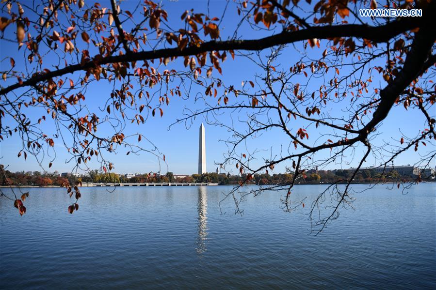 U.S.-WASHINGTON D.C.-TIDAL BASIN-AUTUMN