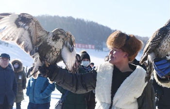 Ice and snow festival opens in NE China's Jilin