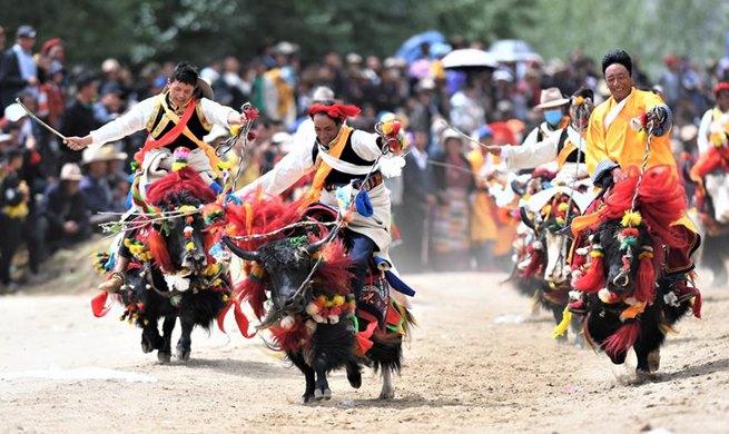 Daily lives and achievements on social development in Tibet in 2019