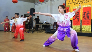 2016 Chinese New Year Celebration event held in Toronto, Canada