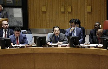 Chinese envoy addresses UN Security Council meeting on situation in Myanmar