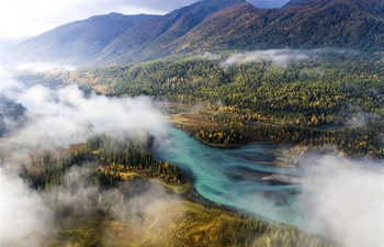 Scenery of Kanas scenic spot of Altay, northwest China's Xinjiang