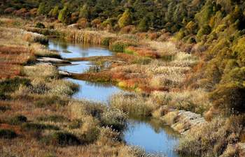 Scenery on banks of Hunhe River in China's Inner Mongolia