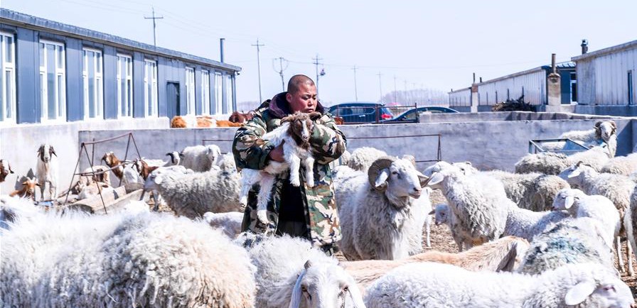 易地搬迁让村民“住得好、能致富”