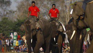 12th Elephant Festival held in Nepal