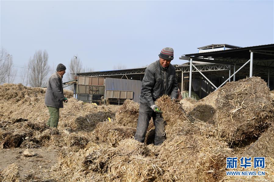 （在习近平新时代中国特色社会主义思想指引下——新时代新气象新作为·乡村振兴战略·图文互动）（2）“与其放火，不如打包”——山西浑源秸秆综合再利用见闻