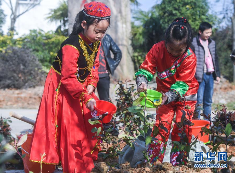 （社会）（1）多民族儿童共迎植树节