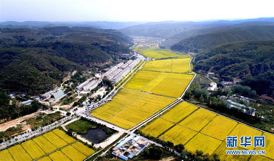 （新华全媒头条·图文互动）（8）春晖沐浴宝塔山——写在延安各县整体脱贫摘帽之际