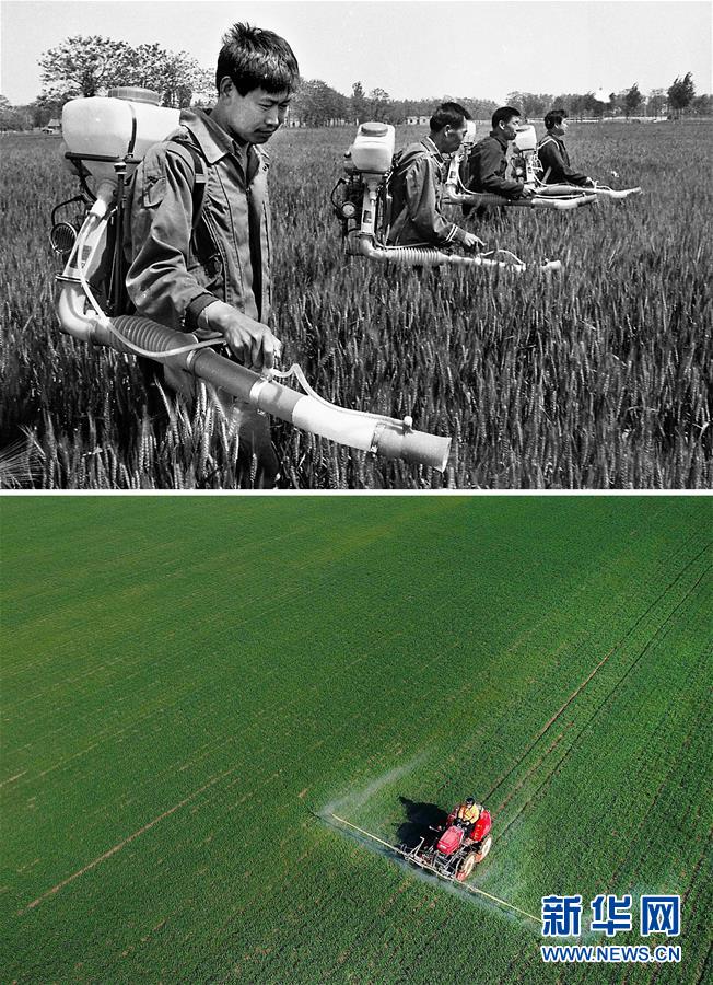 （新华全媒头条·图文互动）（10）大国粮仓的新时代交响——河南农业70年观察