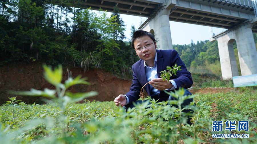 （决战决胜脱贫攻坚·图文互动）（2）扶贫路上三人行