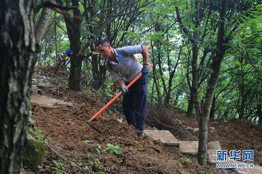 （决战决胜脱贫攻坚·图文互动）（2）问林下要地 助“新市民”就业增收