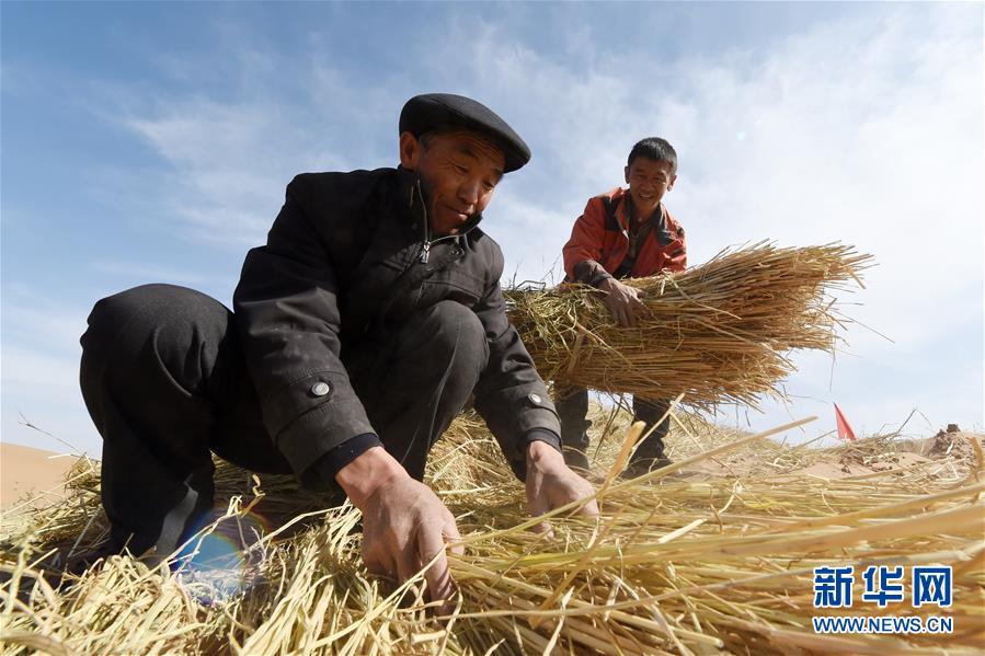 （在习近平新时代中国特色社会主义思想指引下——新时代新作为新篇章·习近平总书记关切事·图文互动）（5）绿色映底蕴，山水见初心——生态优先、绿色发展持续造福群众美好生活