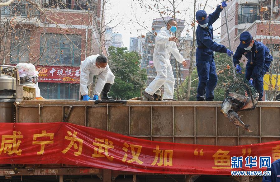 （新华全媒头条·图文互动）（12）从人民中汲取磅礴力量——习近平总书记同出席2020年全国两会人大代表、政协委员共商国是纪实