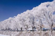 全国初雪时间表出炉 看看你离初雪还有多远？