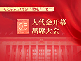 习近平2021两会“微镜头”之二：3月5日 人代会开幕，出席大会