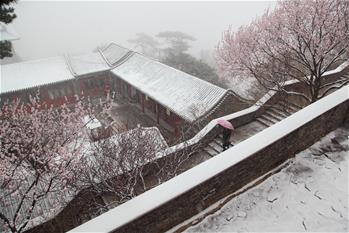 北京降雪